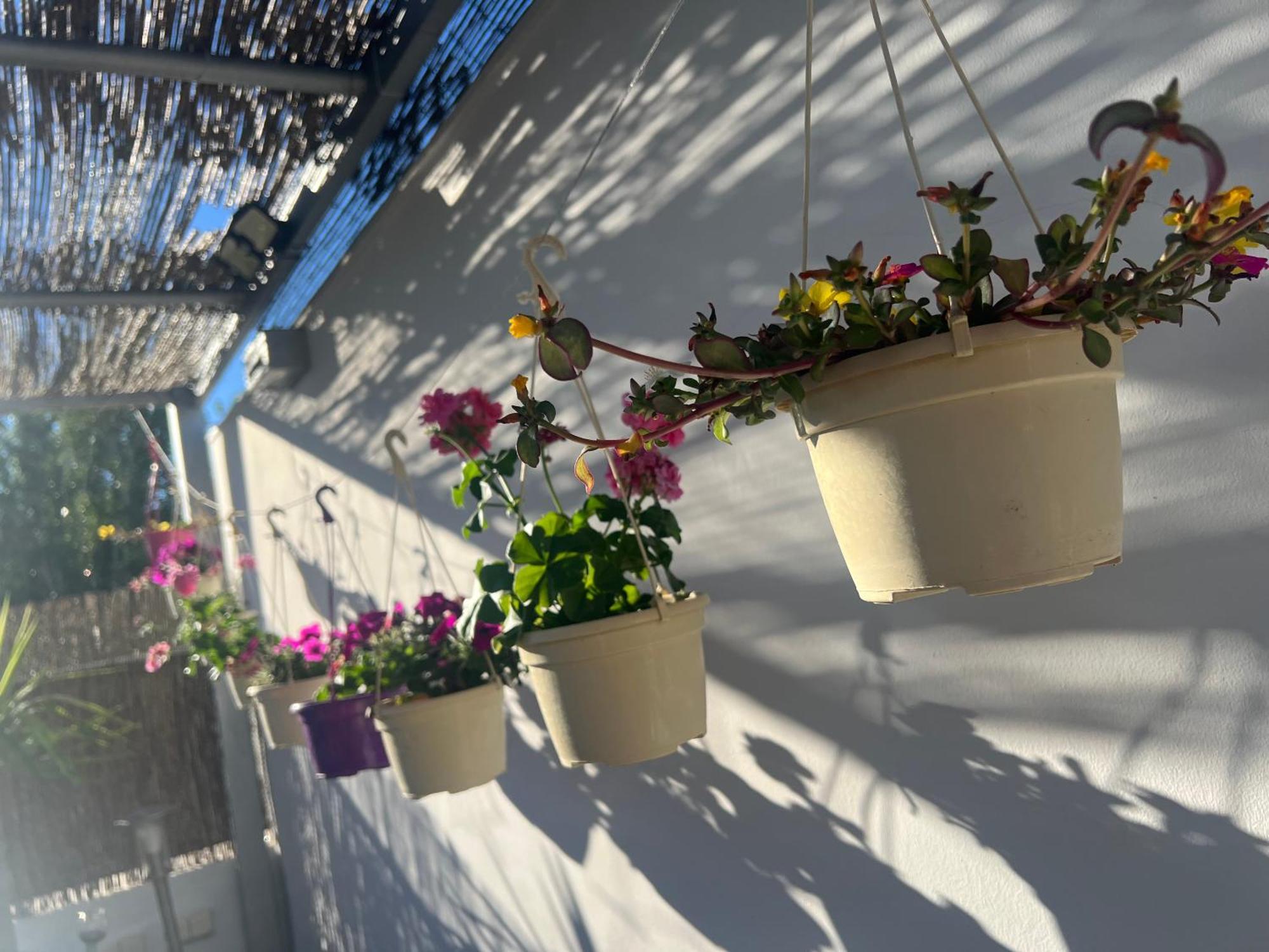 Atico Rilque, Apartamentos Independientes Con Jacuzzi Privado Y Terraza En روندا المظهر الخارجي الصورة